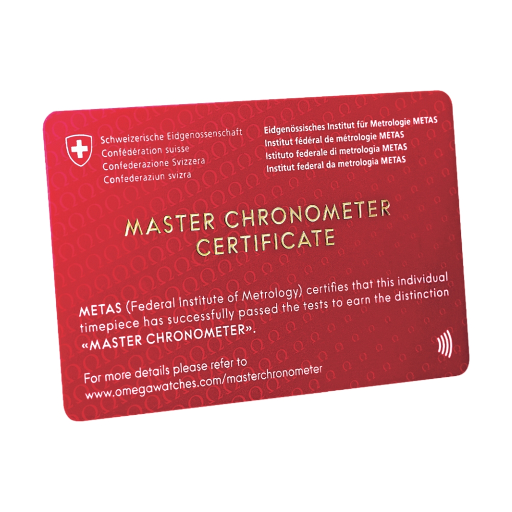 OMEGA Seamaster Diver 300M 42mm - Grey Dial w/ Blue Bezel on Rubber Strap